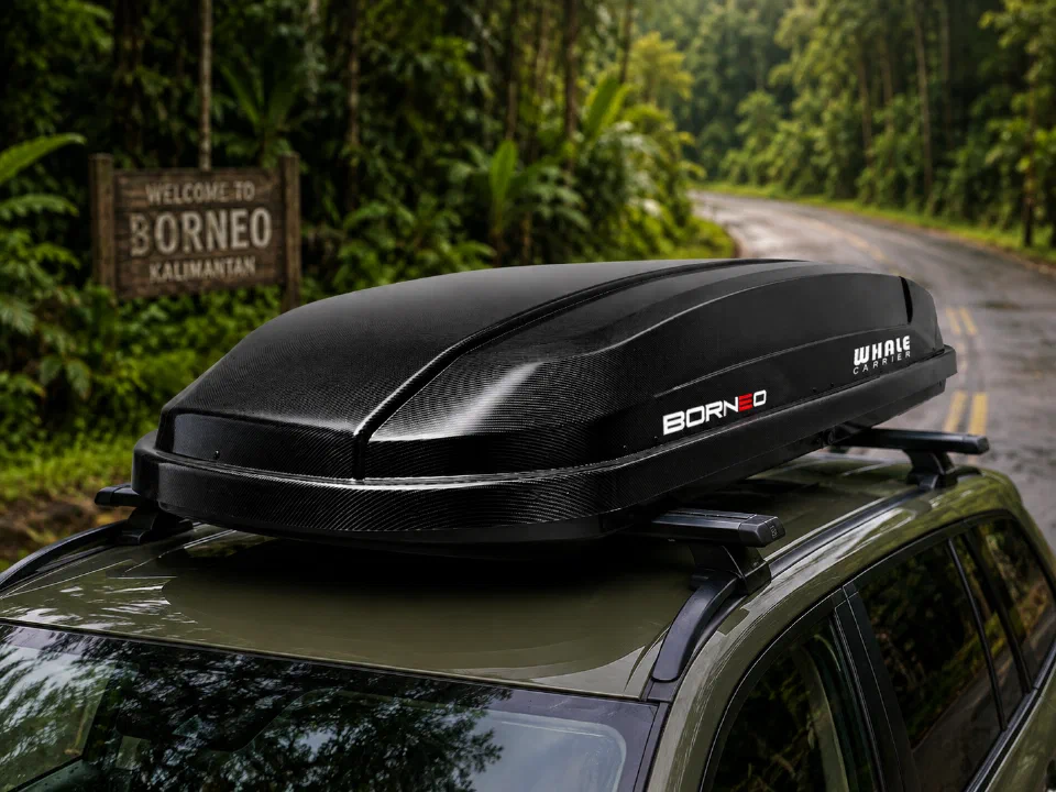 Whale Borneo